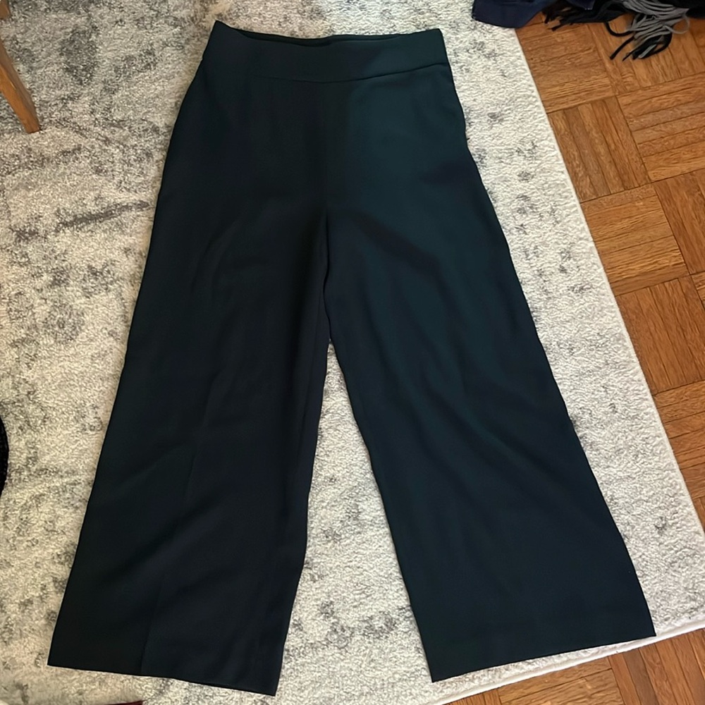 Dark green, wide leg, capri length Zara pants.